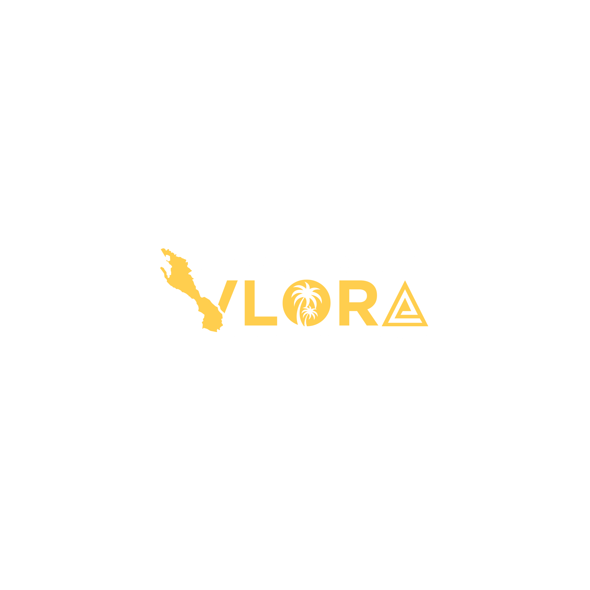 Coworking Vlora